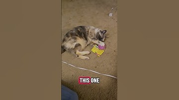 @leannemerceedes01:Dora