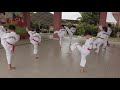 每周跆拳道练习 09 疫情前的练习 Taekwondo Training Pray for an early end to the epidemic