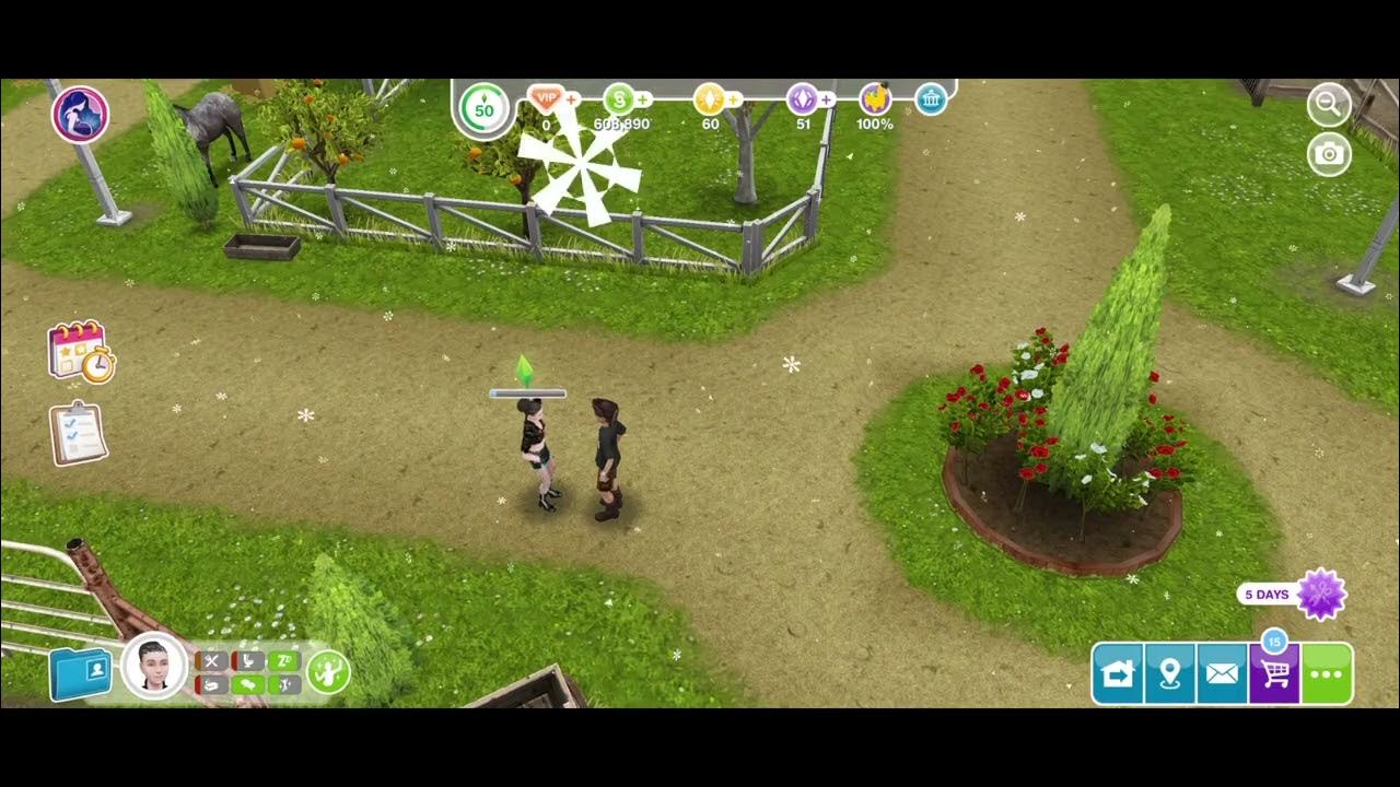 The Pirate and his Goddess Ask the pirate why he's upset / Sims