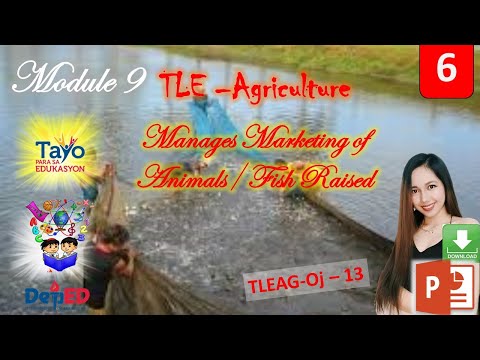 tle-6-agriculture-module-9-manages-marketing-of-animal-fish-raised