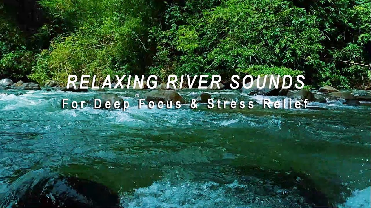 Relaxing River Sounds for Deep Focus & Stress Relief