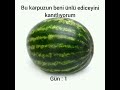 bu karpuzun beni ünlü ediceyini kanıtlıyorum #keşfet #keşfetbeniöneçıkar #fyp