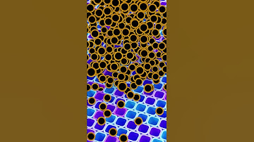 Hypnotic Black & Gold Cascade ✨ — Addictive Loops  #shorts #oddlysatisfying  Loop 131