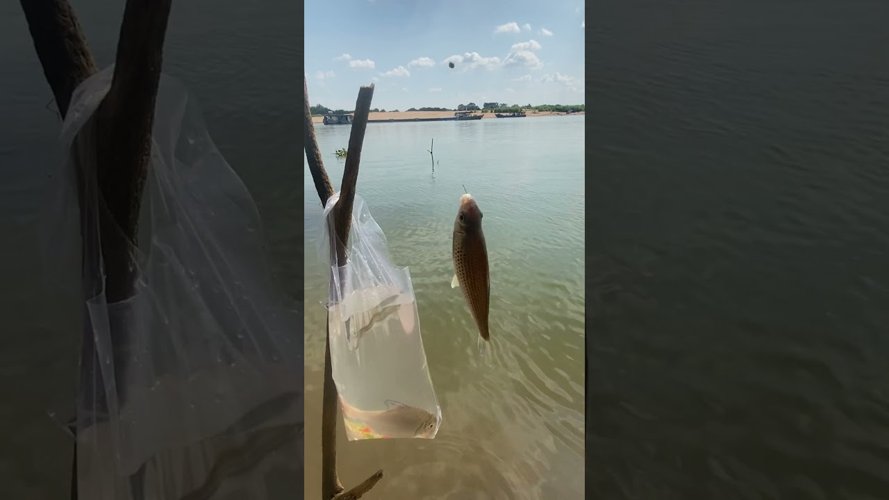 Let’s enjoy fishing 🎣 