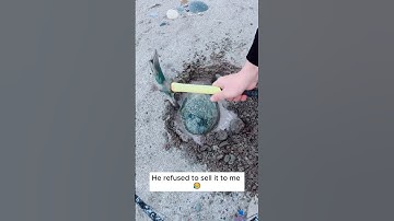 What type of stone is this? #gemstone #rock #fossil #treasure #crystals