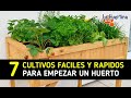 7 Cultivos Rápidos Para Empezar Un Huerto Urbano En 60 Días || La Huertina De Toni