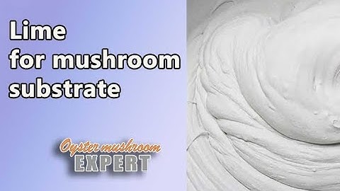 Lime for oyster mushroom substrate. Why and how to add it? Cold pasteurization of the substrate.