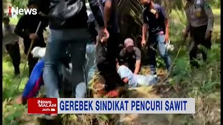 Gerebek Sindikat Pencuri Sawit, Pelaku Tertangkap saat Beraksi #iNewsMalam 27/10