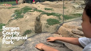 Bergen County Zoological Park in Paramus, New Jersey You must go 😀