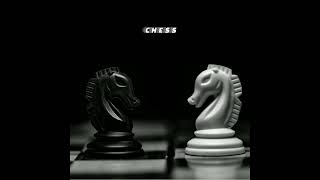Chess Prod. Apollon