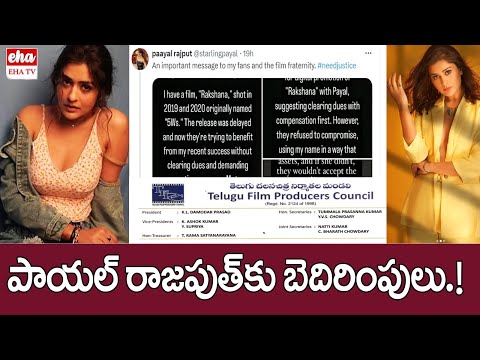 Payal Rajput Faces Harassment From The Producers Of Rakshana - YOUTUBE