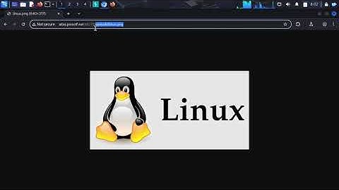 Cracking the Code:picoCTF Web Exploitation(Medium) - Trickster Walkthrough