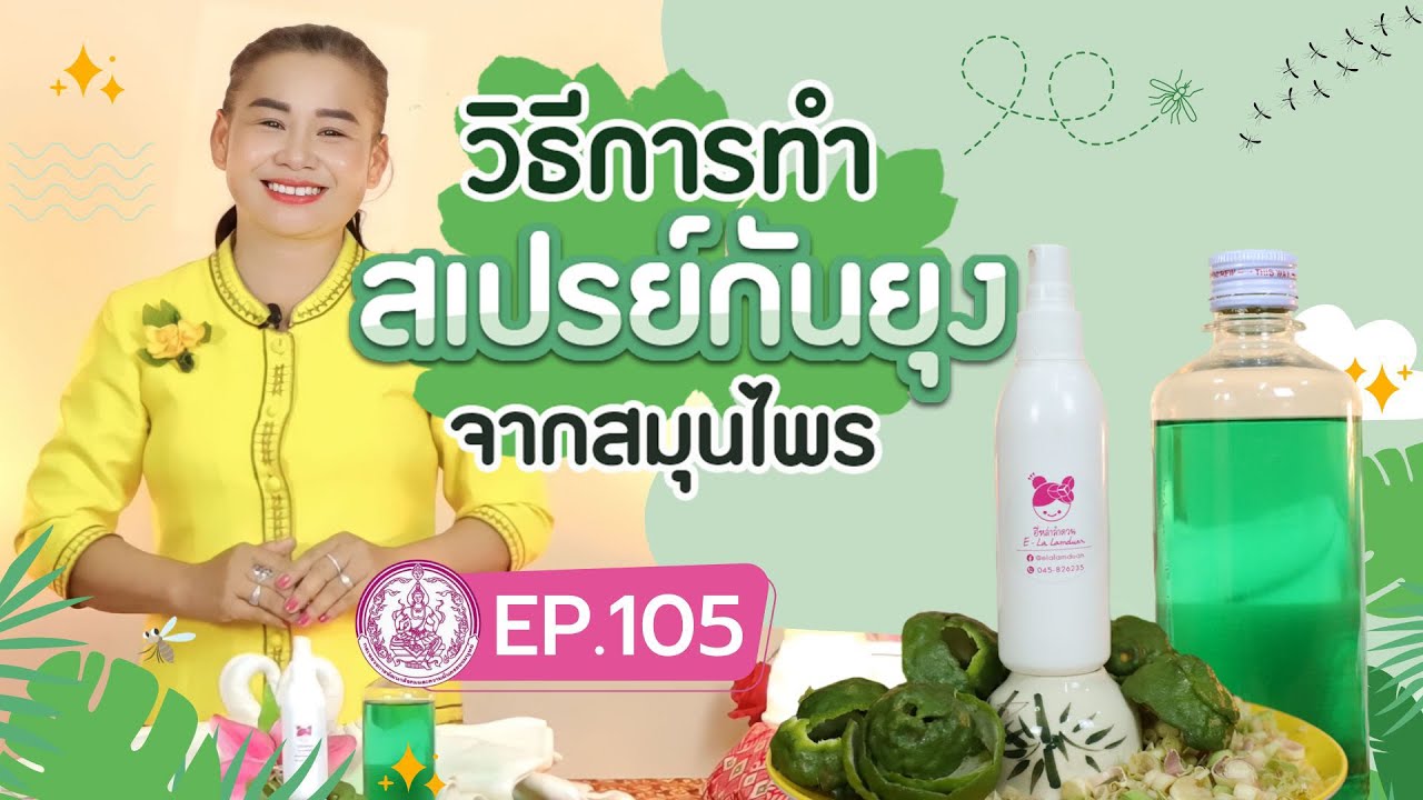 วิธีการทำสเปรย์กันยุงจากสมุนไพร |  ไล่แมลงร้ายด้วยกลิ่นหอม