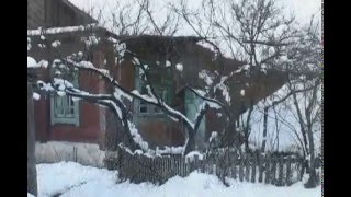 ЗИМА ЗИМА