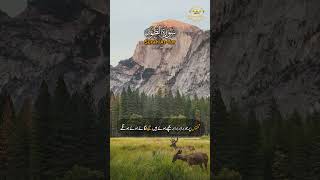 A Glimpse of Paradise You Must See | Surah At Tur 17–21 | Quranic Studio #shorts #quran