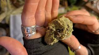 The Pagan Pound Shop order crystals and witchy items