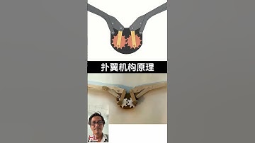 Principle of flapping wing mechanism #flapping-wing machine #bionics #mechanics#shorts