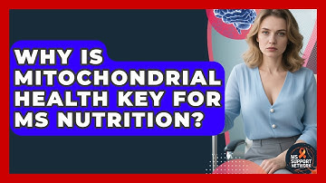 Why Is Mitochondrial Health Key For MS Nutrition? - MS Support Network