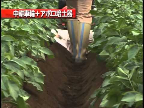 ミニ耕うん機 MTe30,30DX 中耕、うね立て作業 - YouTube
