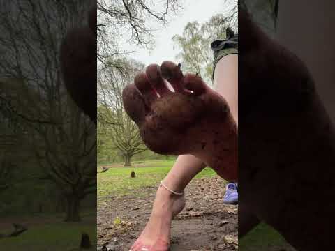 Soles toes wet leaves dirt earthing nature trunk