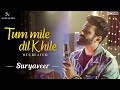 Tum mile dil khile   recreated  suryaveer ft vishal dixit