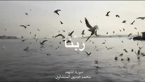 في يوم الجمعة كنوز من الحسنات💚 لا تنس قراءة سورة الكهف و كثرة الصلاة على نبينا محمد ﷺ و الدعاء🤲🍀