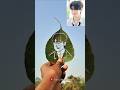 Bts V Leaf craft 🤩😱#shorts #kimtaehyung #bts #btsmember #drawing