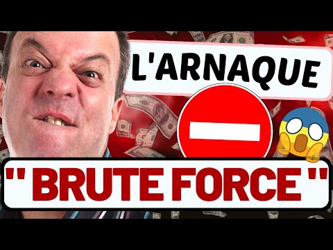 L'ARNAQUE DU "BRUTE FORCE" OU COMMENT VOLER DES WALLETS ⛔️