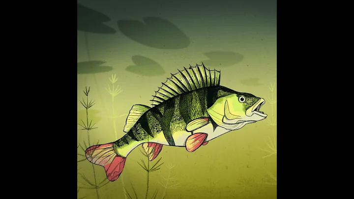 Peter Perch's Zoom Meeting