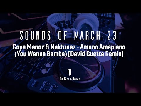 Goya Menor & Nektunez - Ameno Amapiano (You Wanna Bamba) [David Guetta Remix] - { Legendado }