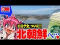 【潜入】エロゲ女、北朝鮮へ…韓国でスタバを飲みながら北朝鮮を眺める場所があるらしい【DMZ】 #胡桃ふゅ