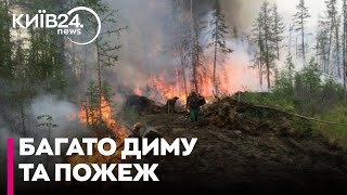 У місцях прориву РФ горять ліси, трава та російська техніка - відео