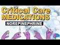 Norepinephrine levophed  critical care medications