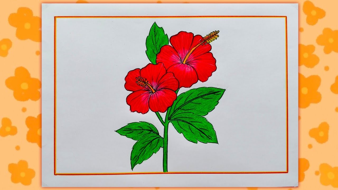 Hibiscus Flower Drawing|How To Draw Hibiscus Flower|Easy Hibiscus Flower Drawing|Flower Drawing Easy