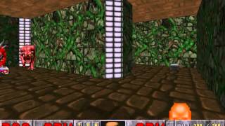Doom: Halls of the Damned (E2M6) - NM100S in 1:46 by Radek Pecka