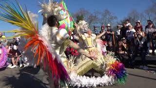 Juventude Vareira ( Ovar ) @ Carnaval de Ovar 2020 | Desfile Domingo | Zona Bancadas