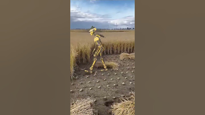 New AI Robots Harvesting Rice Artificial Intelligence Robots can also work to harvest rice,