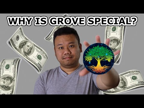 GROVE TOKEN - REVIEW WHAT IS IT?