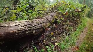 Mountain-to-Sea Trail system continues recovery two years after Helene