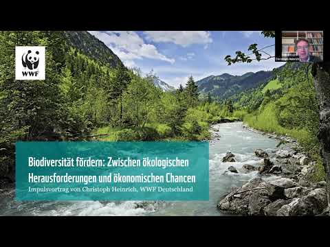 Video: Das Derzeitige Niveau Der Biologischen Vielfalt Unterscheidet Sich Nicht Wesentlich Von Dem Der Letzten 60 ML. - Alternative Ansicht