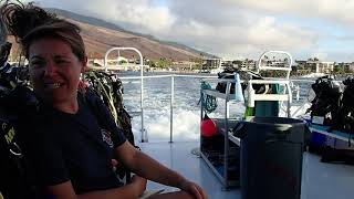 Maui Dreams Dive Co. PADI Referral dives.