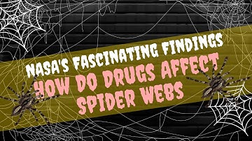 How Do Drugs Affect Spider Webs | NASA