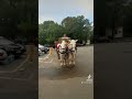Это Питер детка