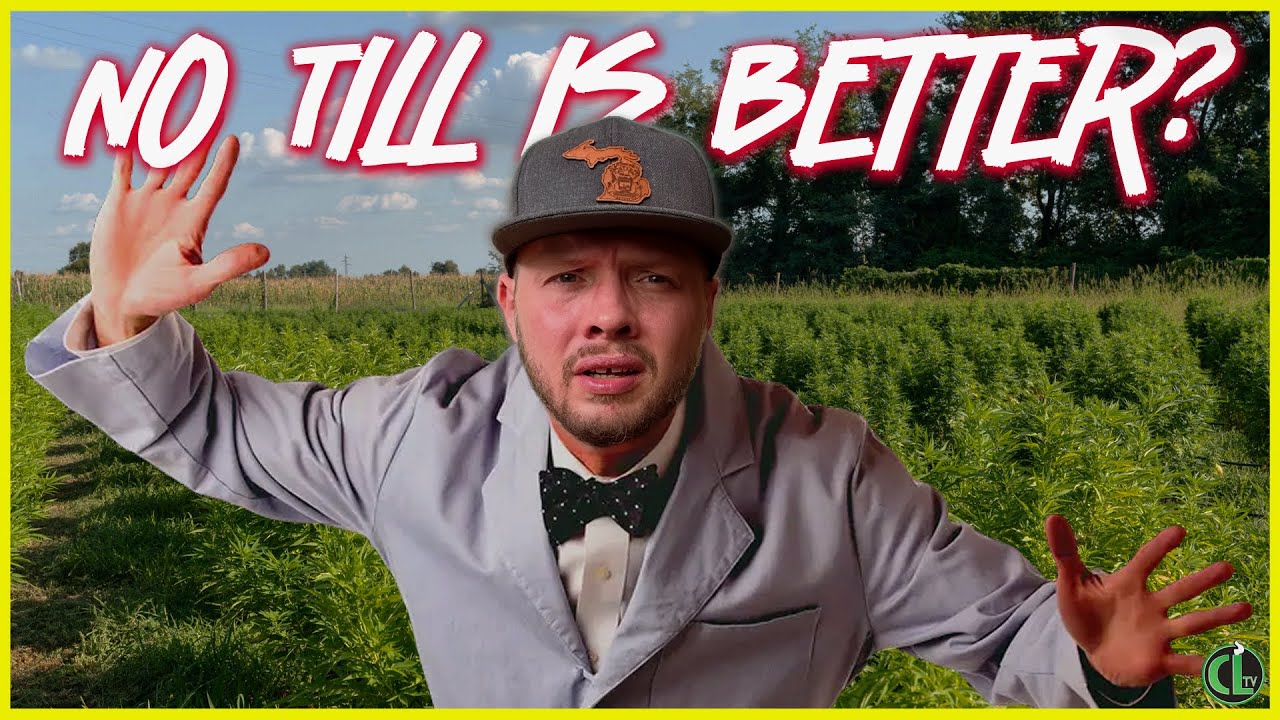 This Study Explains Why Some Soil Produces Better Bud