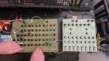 Pulsar 23 Lyra 8 Take 2