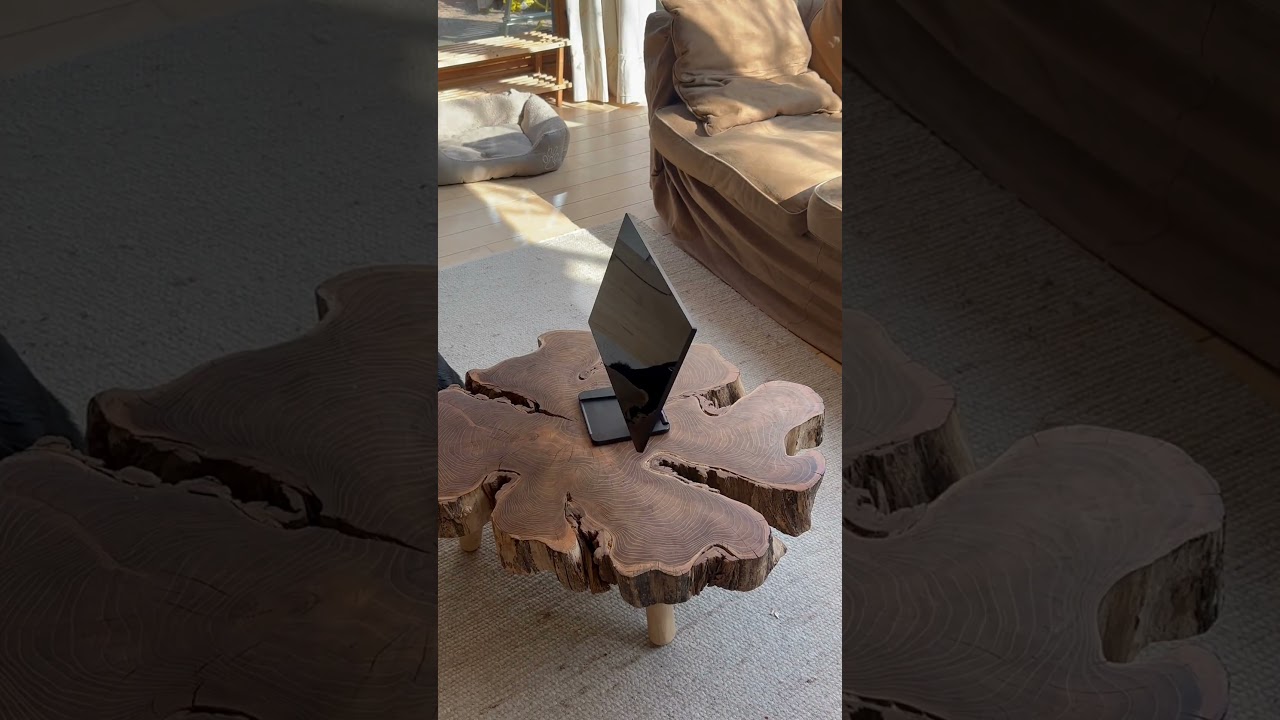 High performance portable monitor for travel