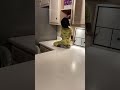 Toddler is Caught Red-handed by His Mother While Stealing Cookies -  1493754