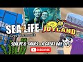 Great Yarmouth Sealife And Joyland   VLOG May 2024