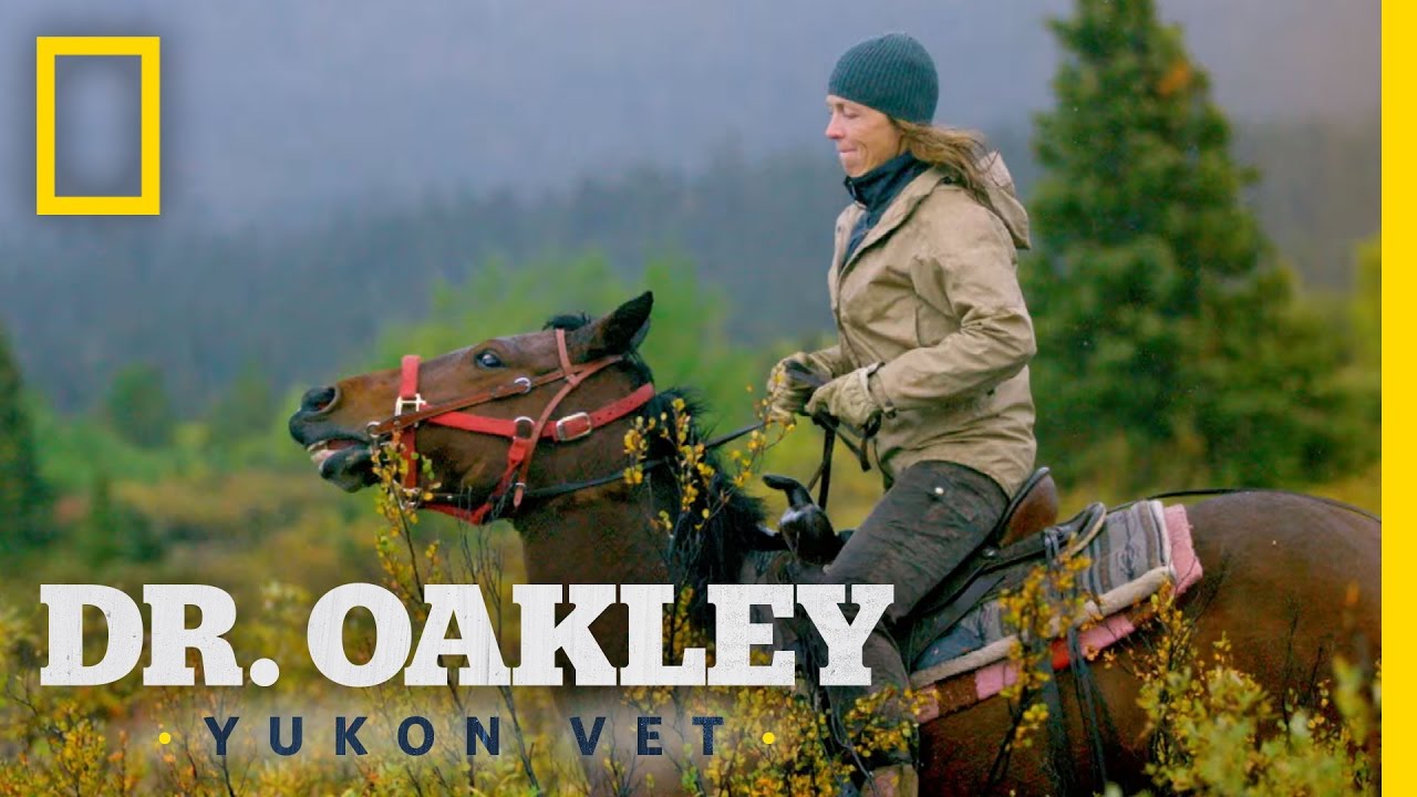 Dr. Oakley, Yukon Vet - YouTube