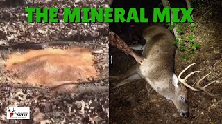 DIY Deer Mineral Rewind!